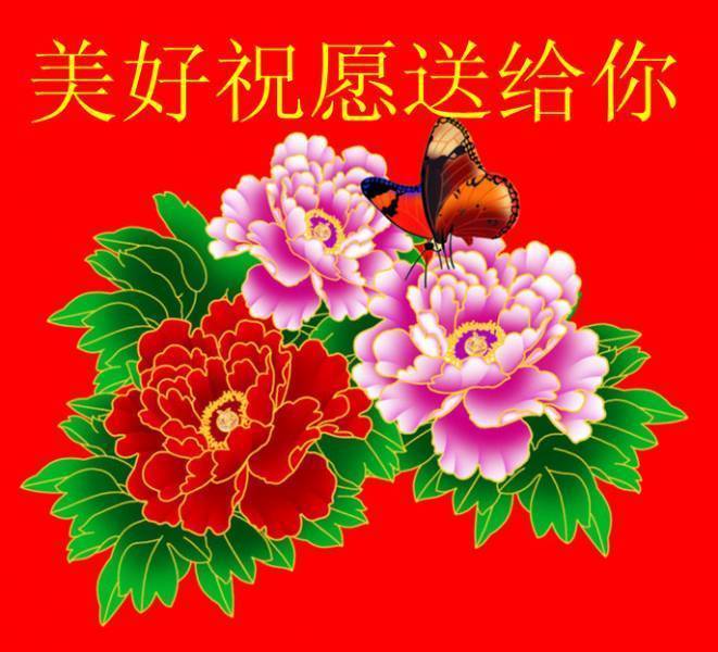 美好祝愿送给�
