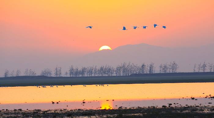 ĺɫ��â���Ϲ�a (1).jpg.thumb.jpg