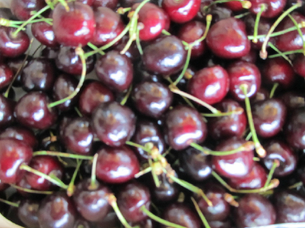 ����ӣ��