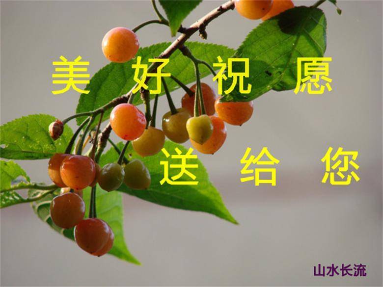 forum_mod=attachment&amp;amp (2).jpg