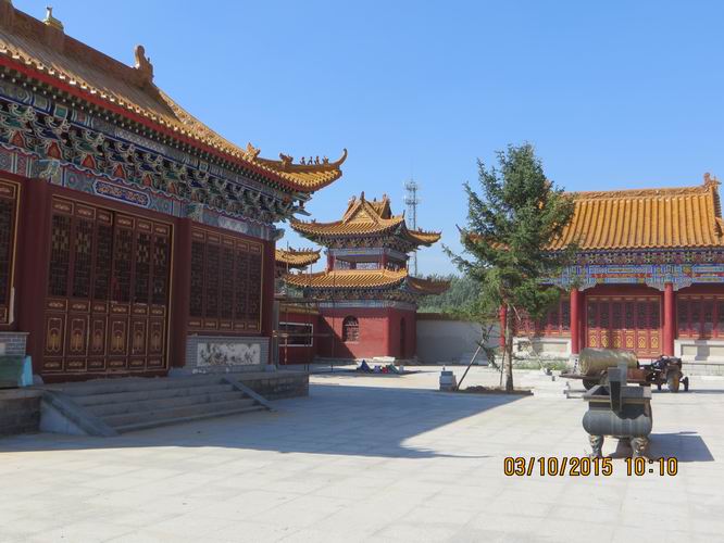 ������С IMG_1821.JPG