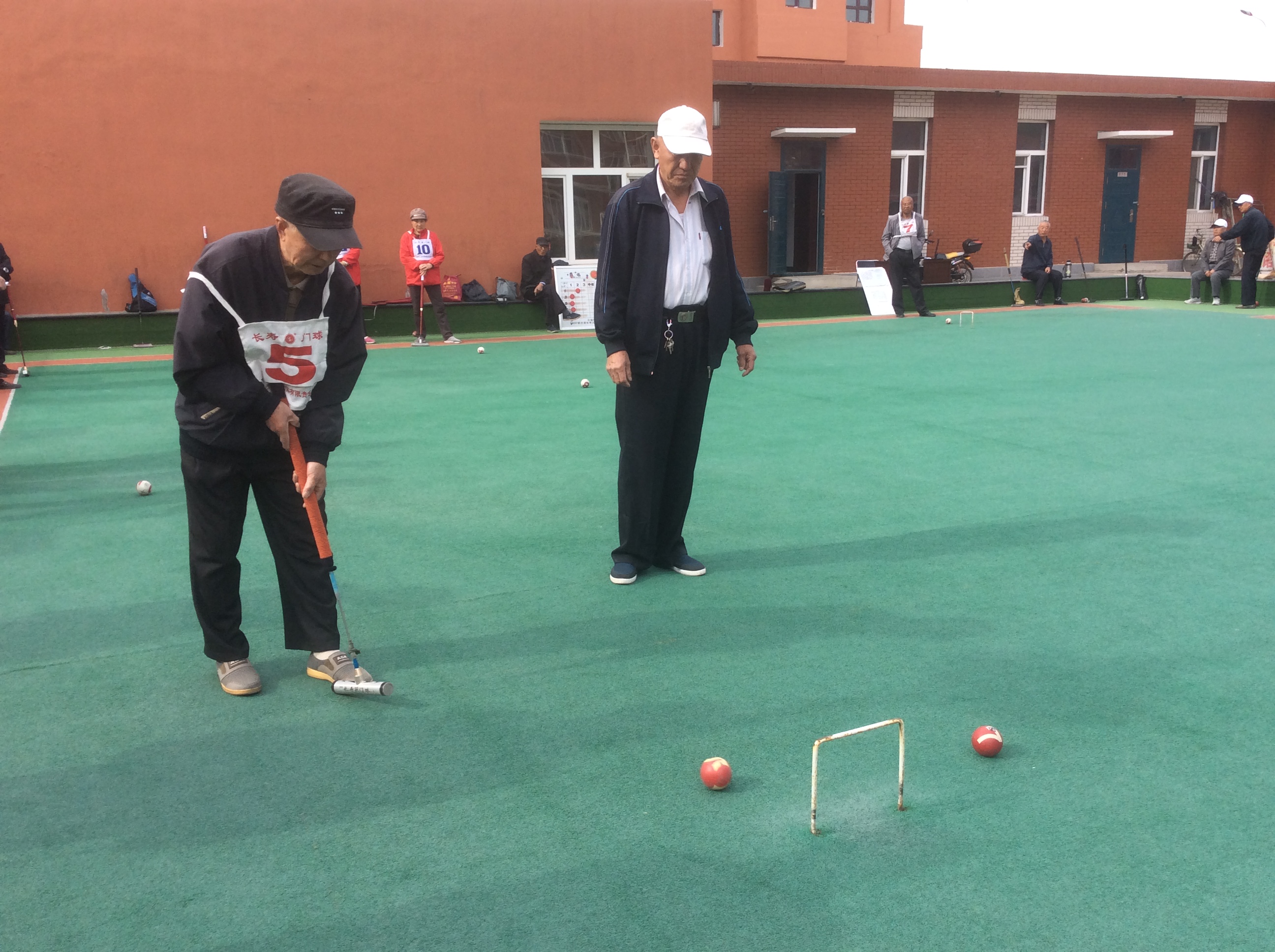 5�Ž�������