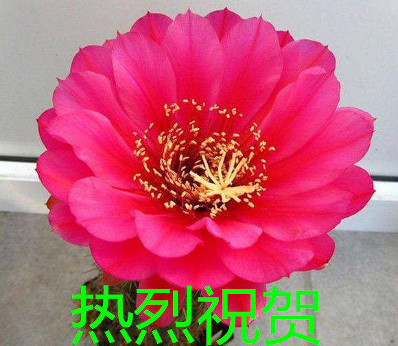 forum (5)_����.jpg