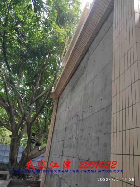 JYZ 20220722 WBQ (4).jpg