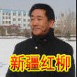 新疆红柳