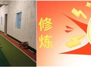 突破门球成长瓶颈——从“盲目击球”到“审时度势”