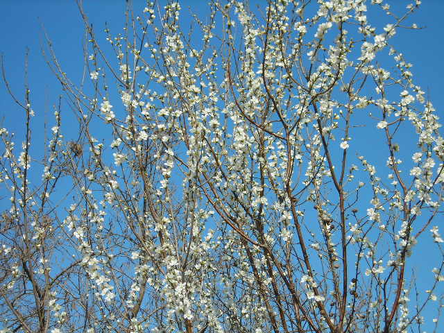 DSCN1426.JPG