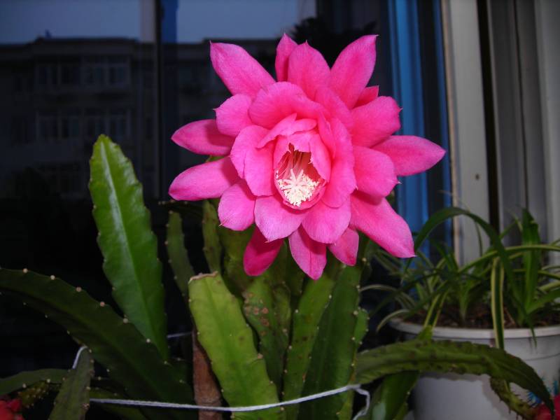 DSCN1692.JPG