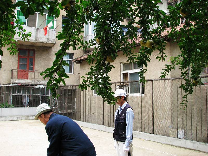 25.jpg
