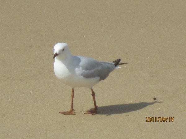 IMG_2588.jpg