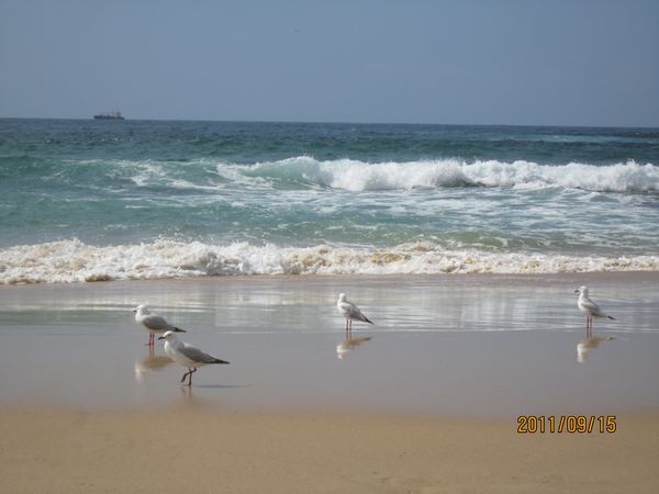 IMG_2590.jpg