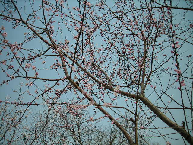DSCN1416.JPG