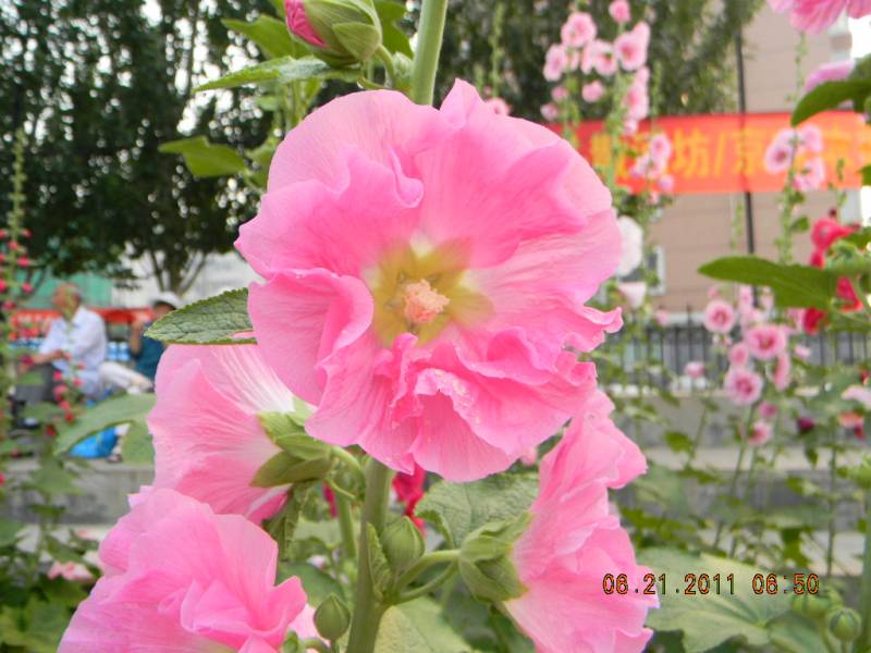 ��ӭ��һ����ף������ʮ�ꡱ���������� 035.jpg