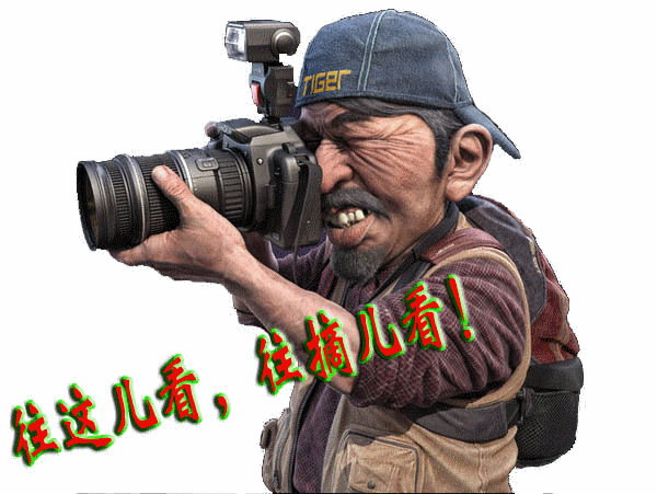 155041t1zy34bbwitmoyd7[1].gif