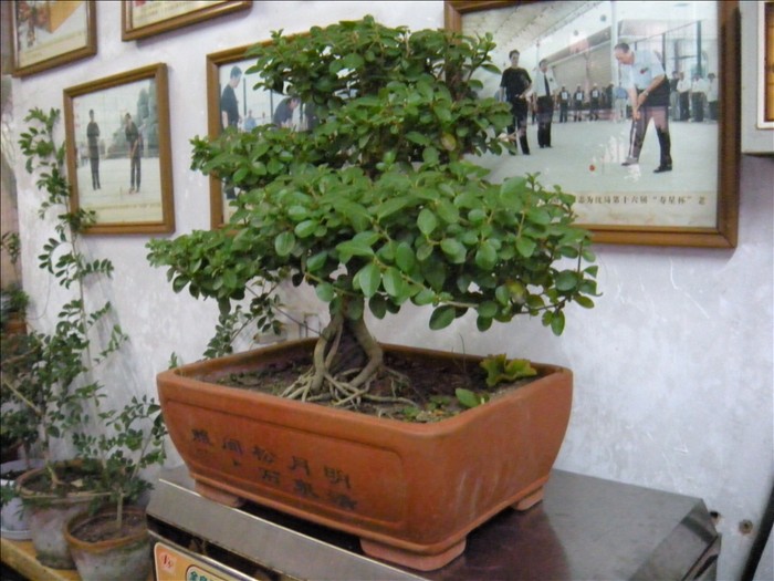 DSCN1458.JPG