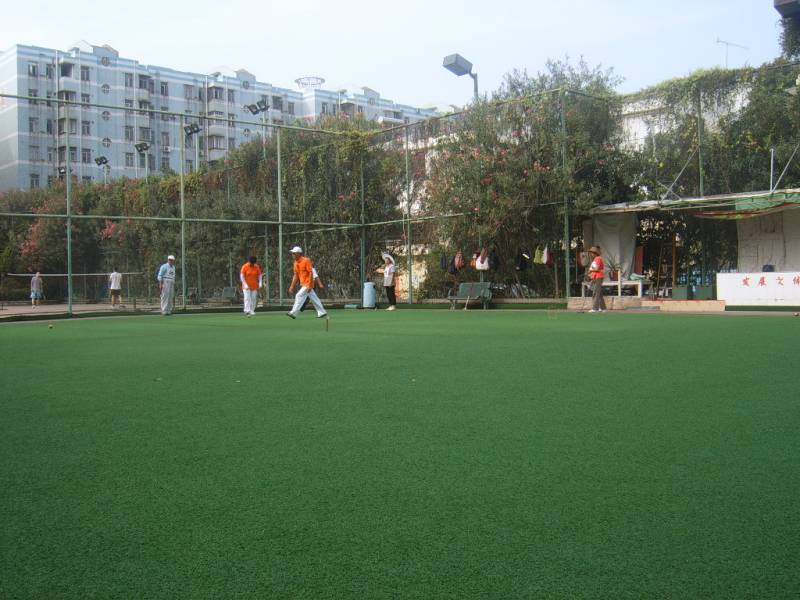 SUC56042.JPG