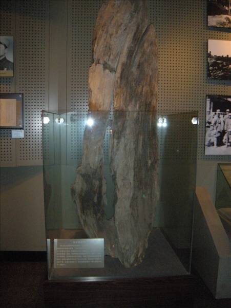 DSCN1603.JPG