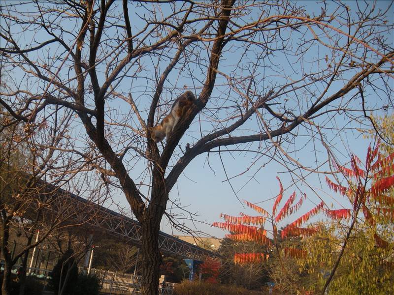 DSCN1644.JPG