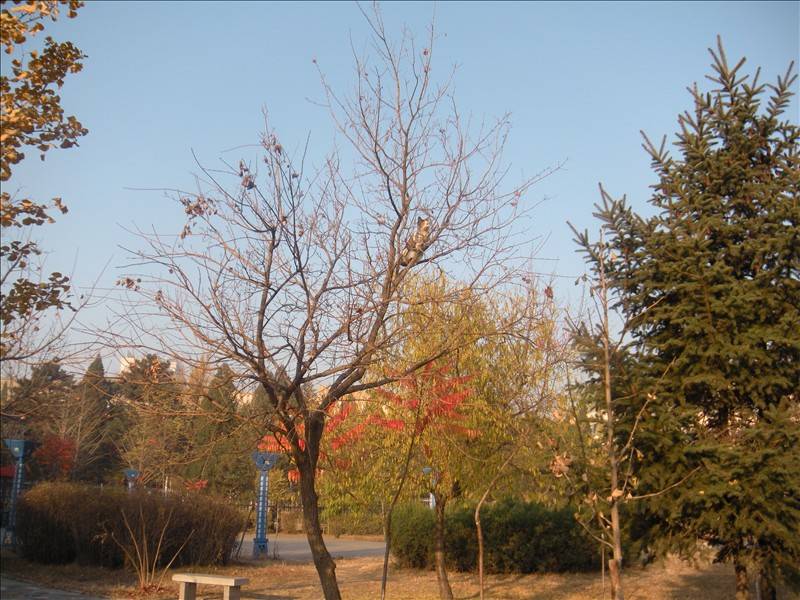 DSCN1641.JPG