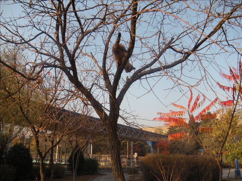 DSCN1643.JPG