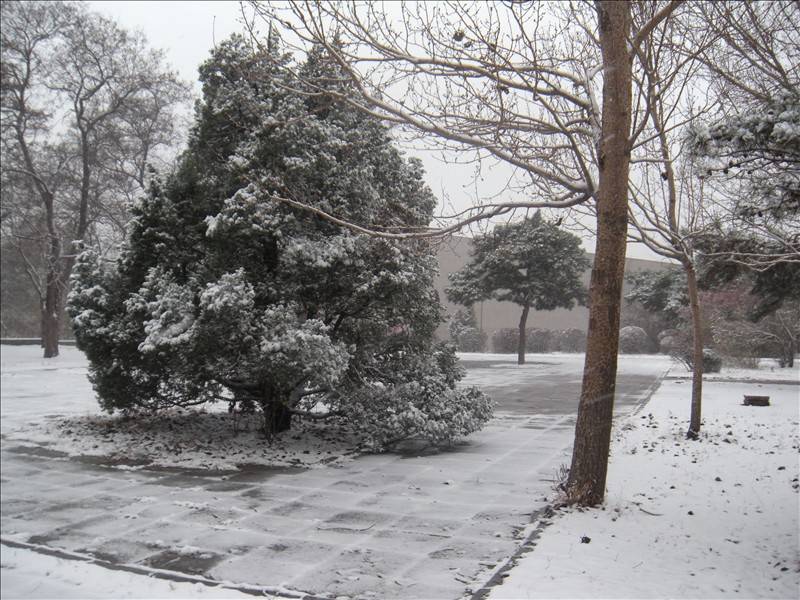 DSCN1654.JPG