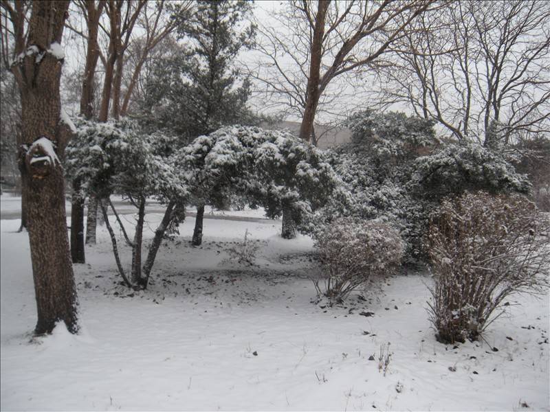 DSCN1655.JPG