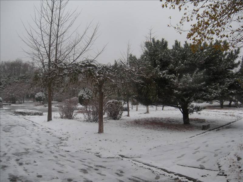 DSCN1657.JPG