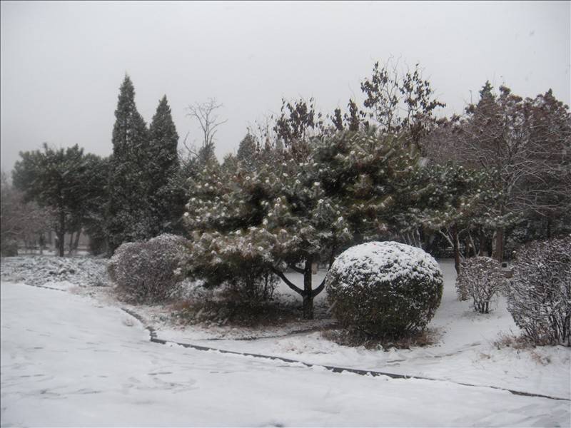 DSCN1660.JPG