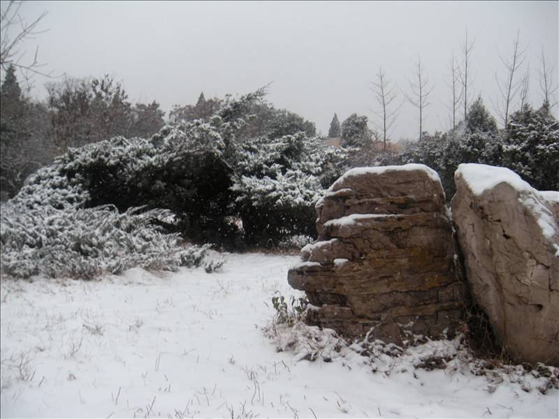 DSCN1659.JPG