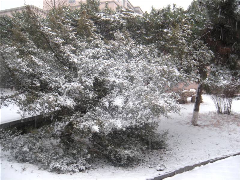 DSCN1661.JPG