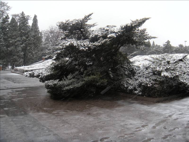 DSCN1662.JPG