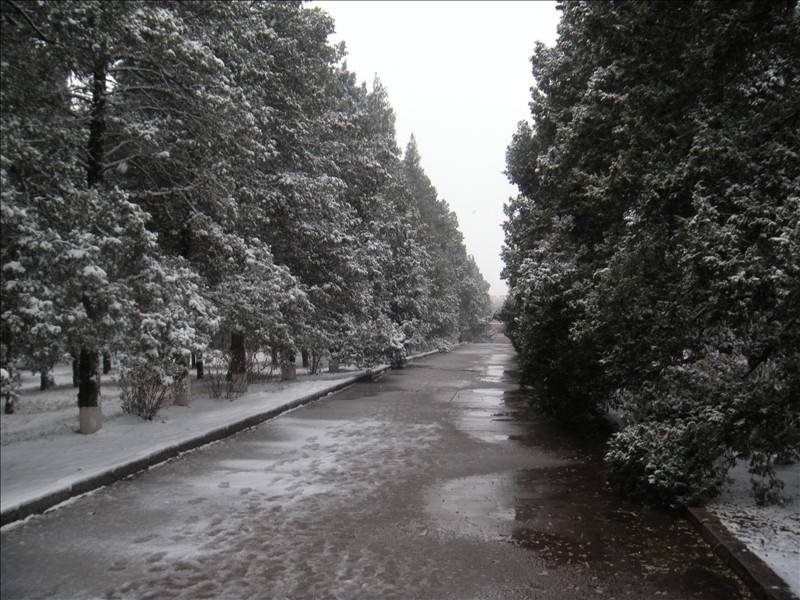 DSCN1664.JPG