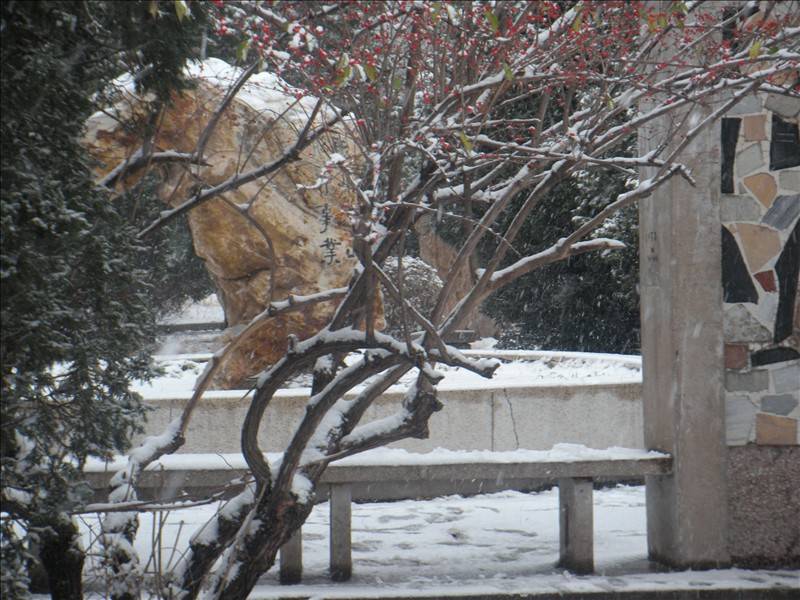DSCN1667.JPG