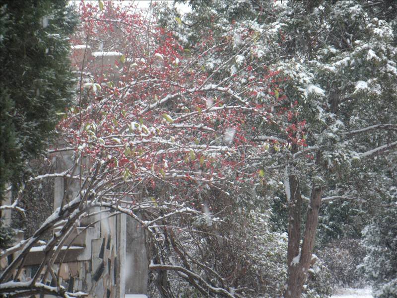 DSCN1668.JPG
