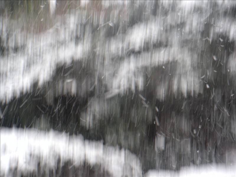 DSCN1673.JPG
