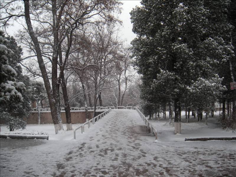 DSCN1677.JPG
