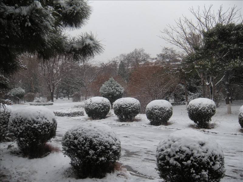 DSCN1678.JPG
