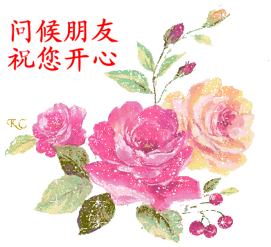 20100111_27eeb47bb63b1635eb01rRZhaWryuzKE.gif