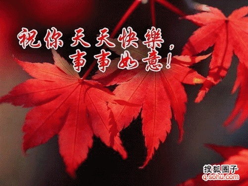 12af7a339dcg213��������.jpg