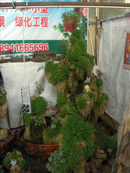 DSCN1704.JPG