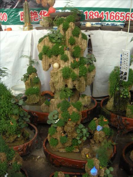 DSCN1705.JPG