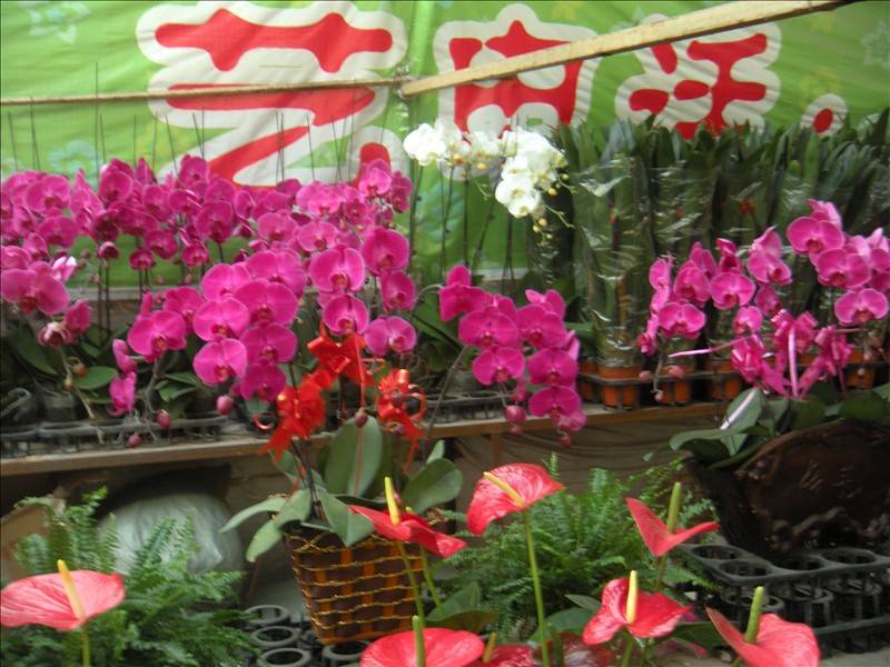 DSCN1707.JPG