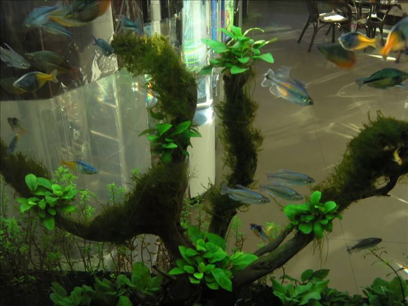 DSCN1709.JPG