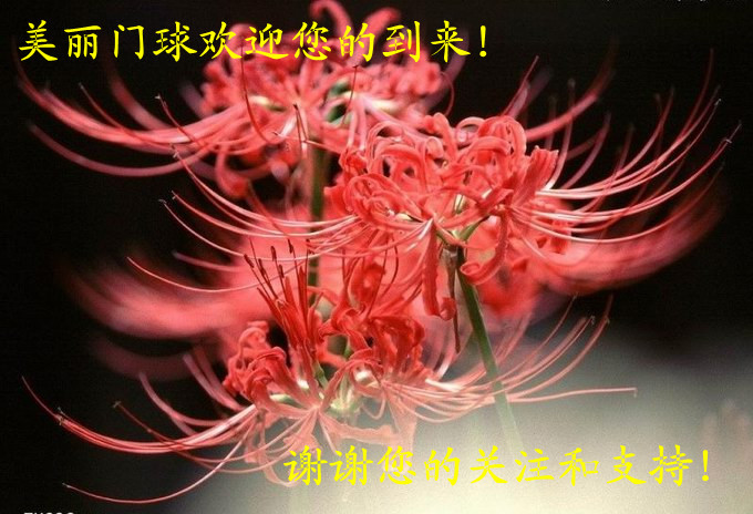 ��������ӭ���ĵ���лл���Ĺ�ע֧��.jpg