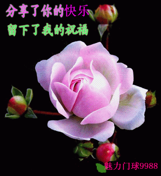��������ľ��������ҵ�ף��1.GIF