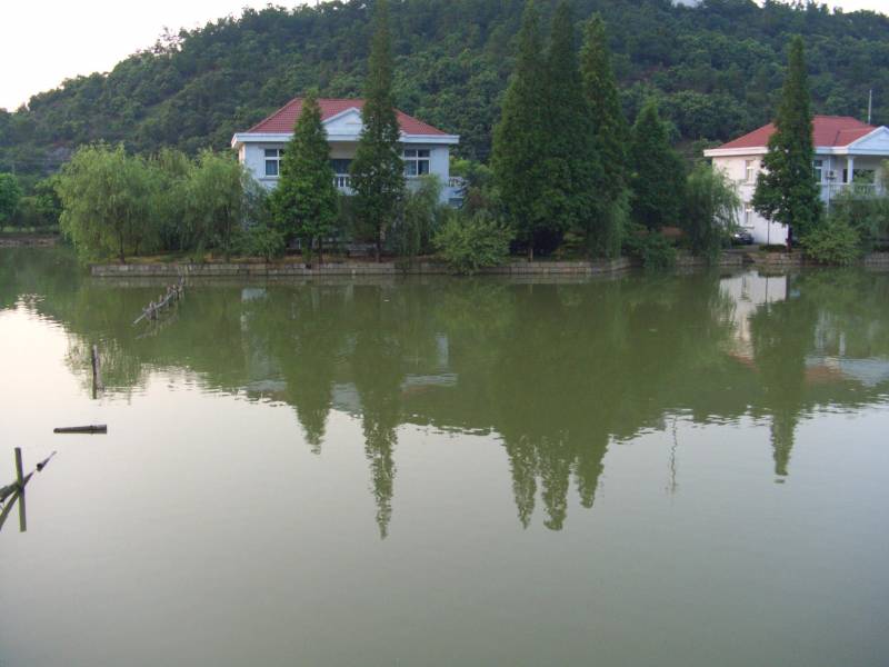 20100803_ed31c54e13d85374be63qyjTmvNDEjd8[1].jpg