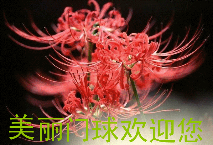 ��������ӭ��.gif