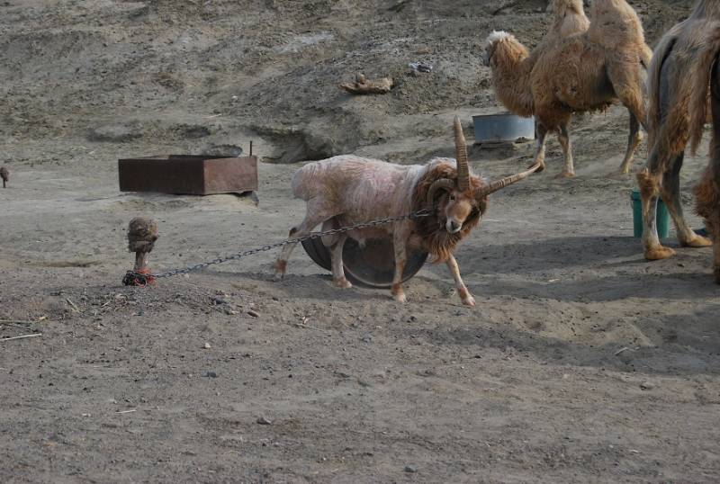 DSC_0291.JPG