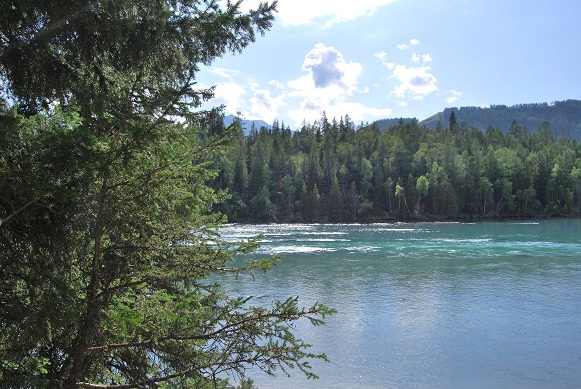 DSC_0039.JPG