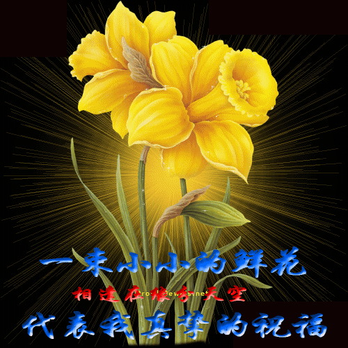 20110219_699461b1fbdfd798b2693piRqz5ZKj5a.gif